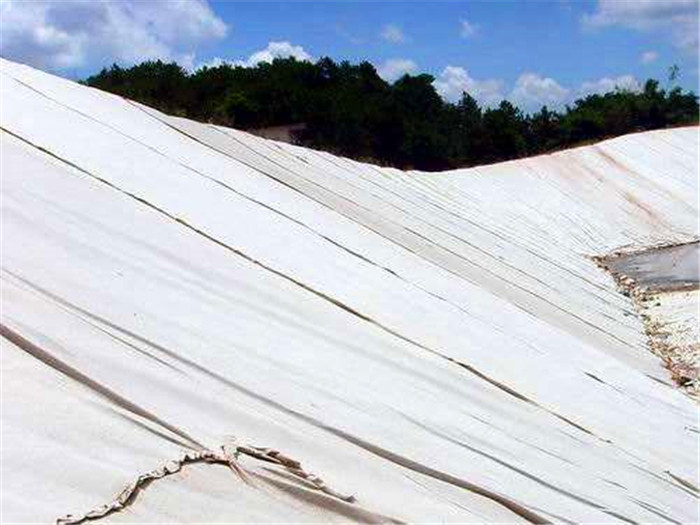復(fù)合土工膜在水庫壩體的防滲施工