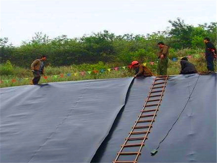 正確的護(hù)坡應(yīng)該怎么做